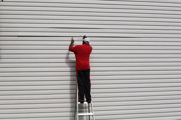 Best Historical Building Siding Restoration  in Roy, UT